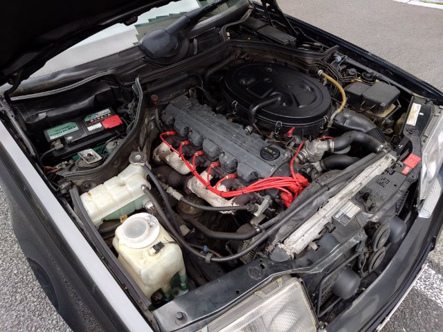 �T���l�C���ʐ^5