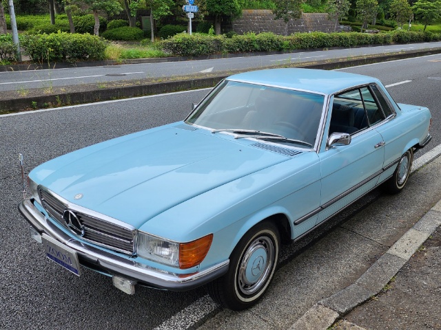 �T���l�C���ʐ^2