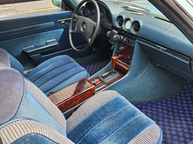 �T���l�C���ʐ^4