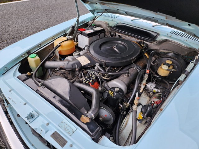 �T���l�C���ʐ^5