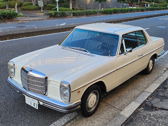 �T���l�C���ʐ^2