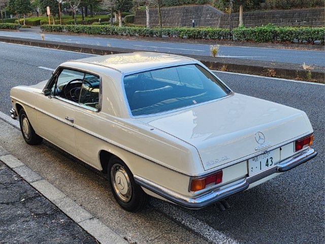 �T���l�C���ʐ^3