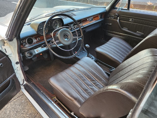 �T���l�C���ʐ^4