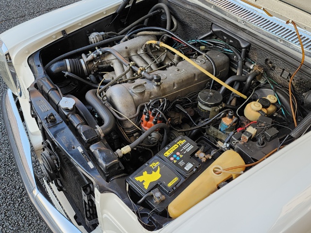 �T���l�C���ʐ^5