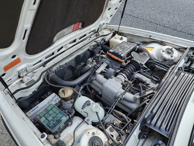 サムネイル写真5