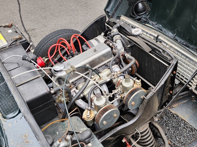 �T���l�C���ʐ^5