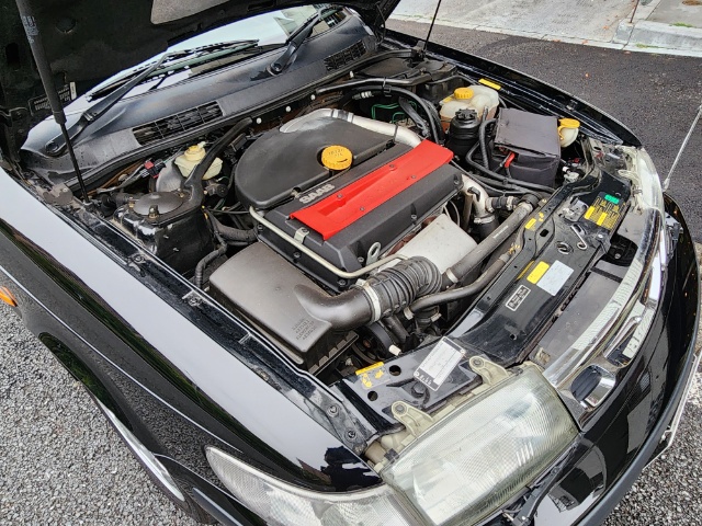 �T���l�C���ʐ^5