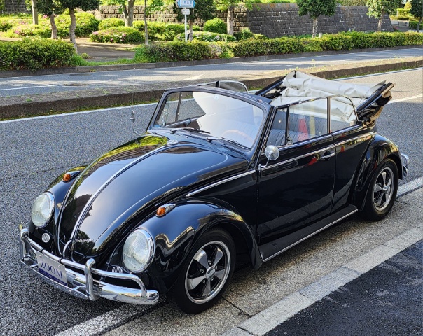 �T���l�C���ʐ^2