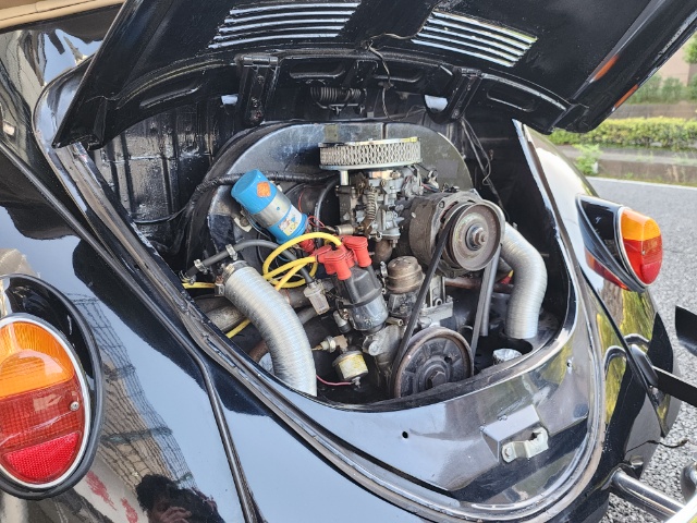 �T���l�C���ʐ^5